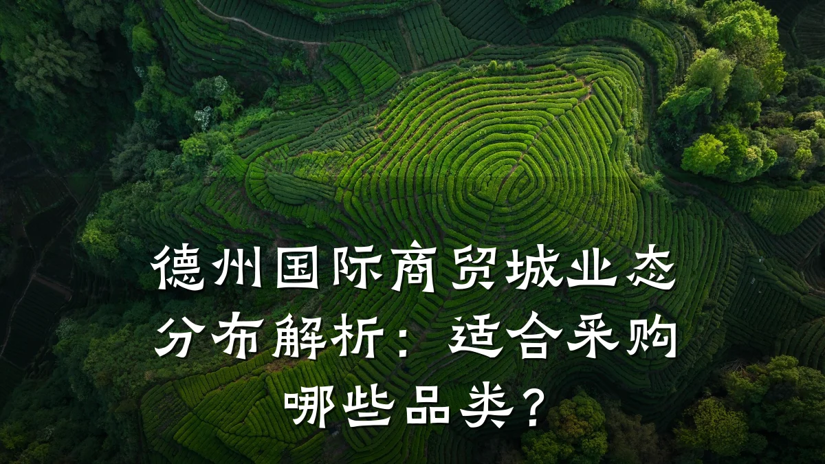 德州国际商贸城业态分布解析:适合采购哪些品类?