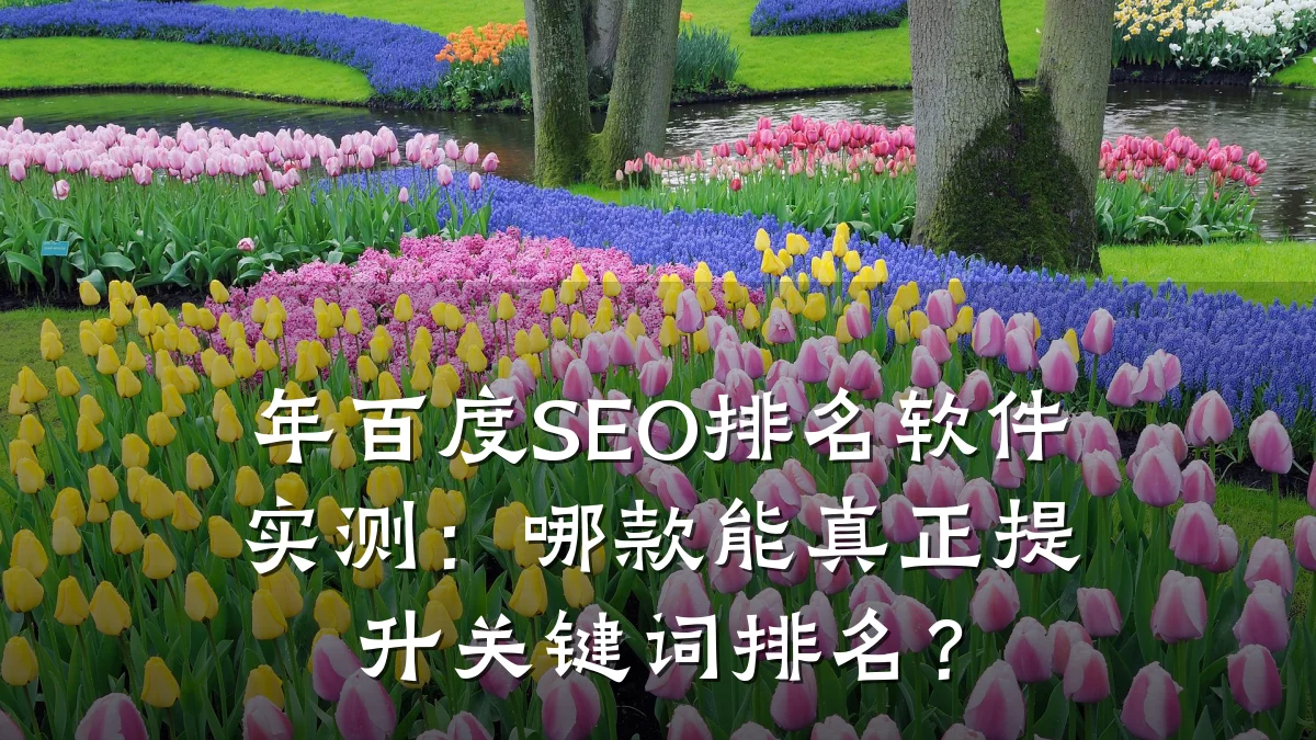 年百度SEO排名软件实测:哪款能真正提升关键词排名?