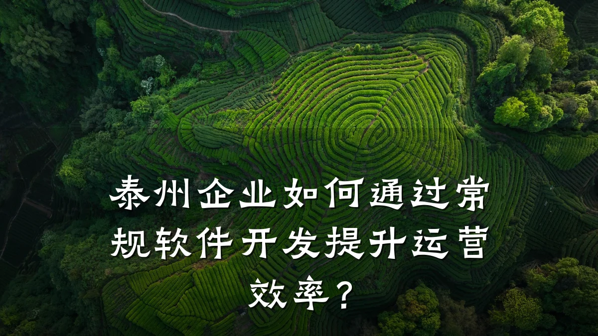 泰州企业如何通过常规软件开发提升运营效率?