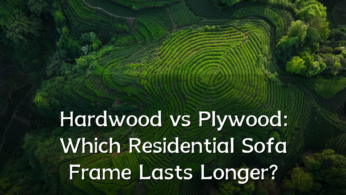 Hardwood vs Plywood: Which Residential Sofa Frame Lasts Longer?
