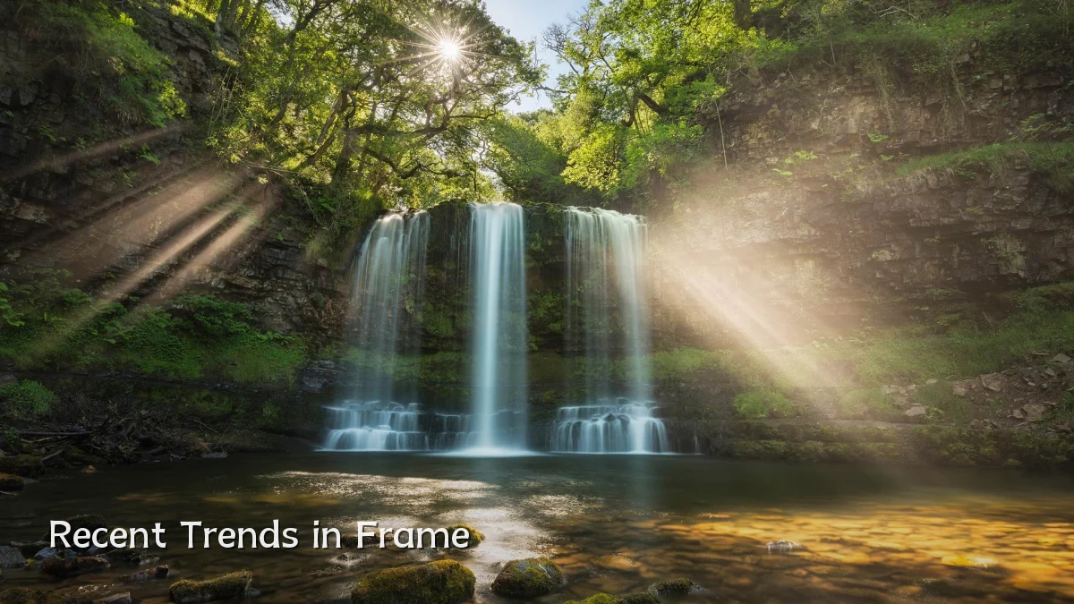 Recent Trends in Frame