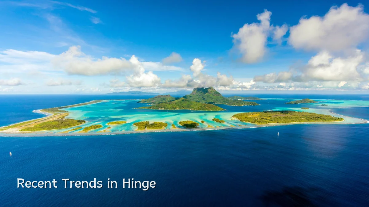 Recent Trends in Hinge