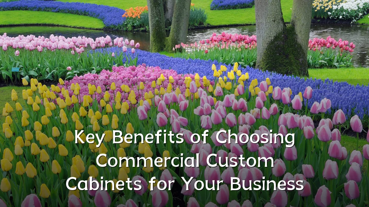 Key Benefits of Choosing Commercial Custom Cabinets for Your Business