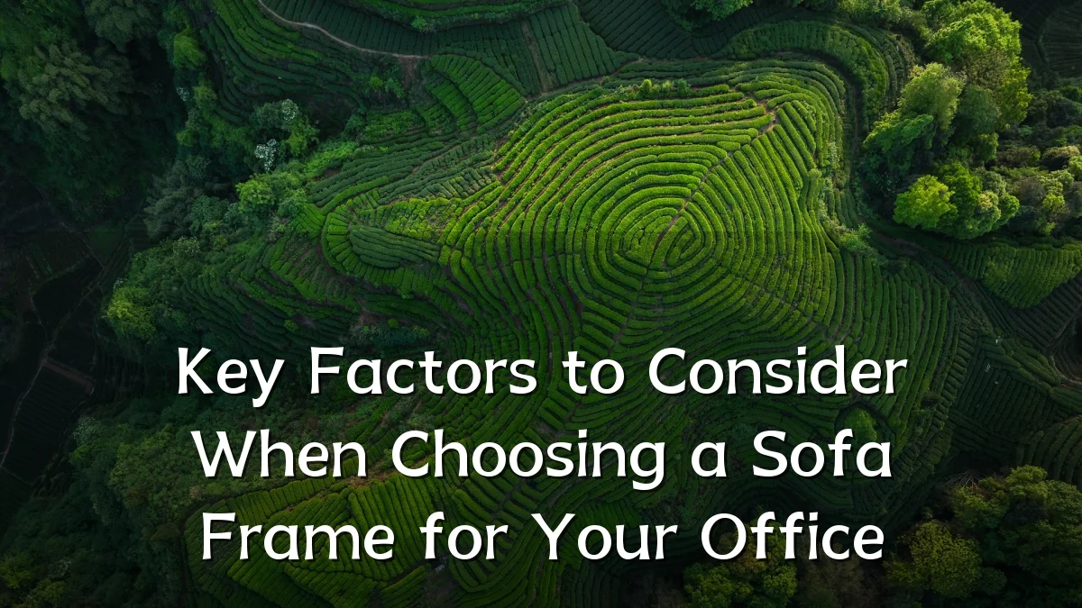 Key Factors to Consider When Choosing a Sofa Frame for Your Office