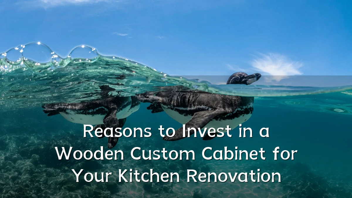 Reasons to Invest in a Wooden Custom Cabinet for Your Kitchen Renovation