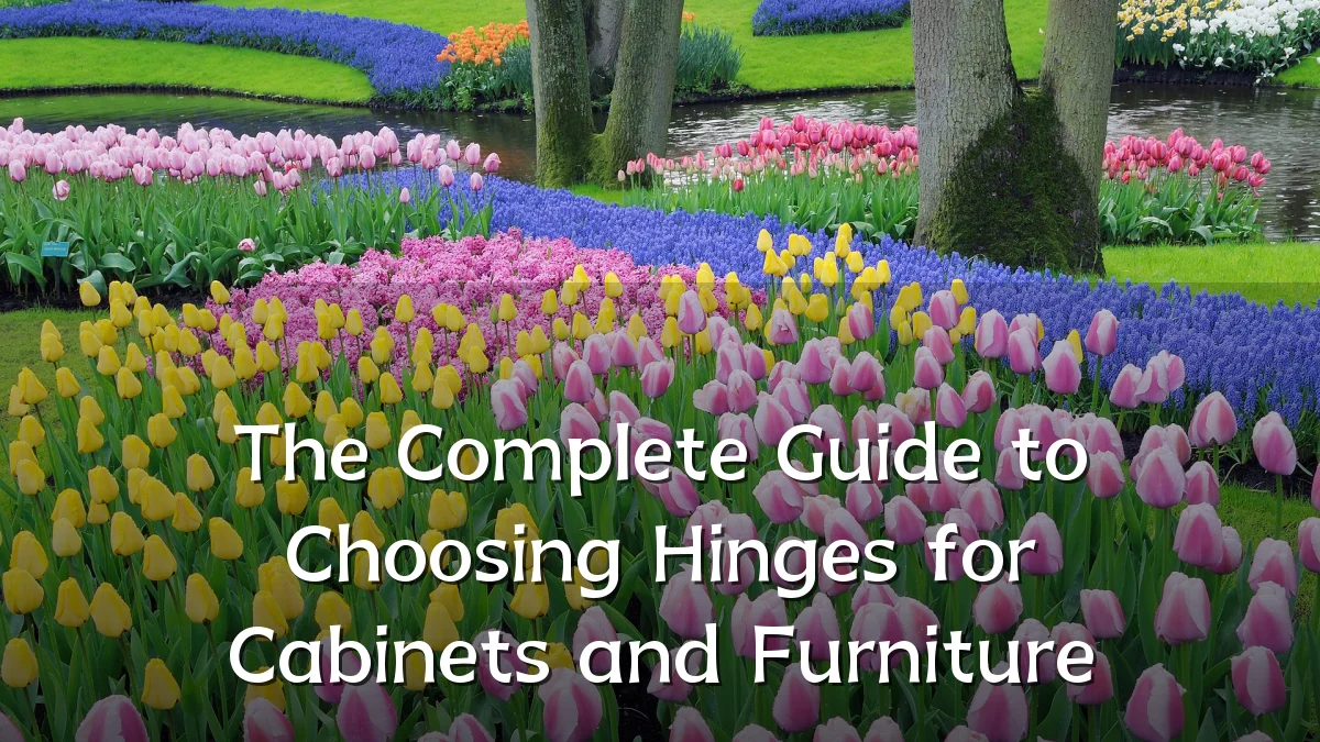 The Complete Guide to Choosing Hinges for Cabinets and Furniture