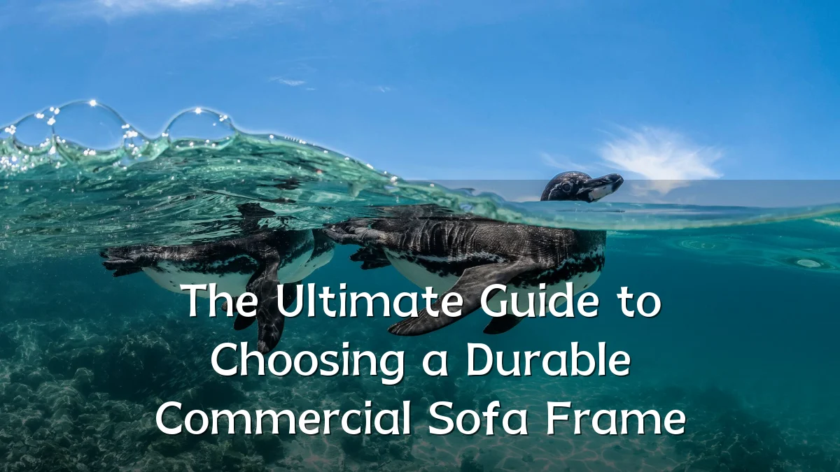 The Ultimate Guide to Choosing a Durable Commercial Sofa Frame