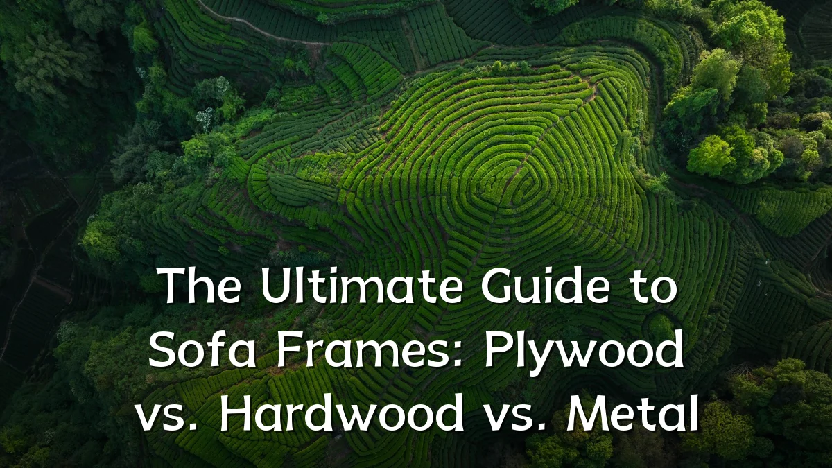 The Ultimate Guide to Sofa Frames: Plywood vs. Hardwood vs. Metal