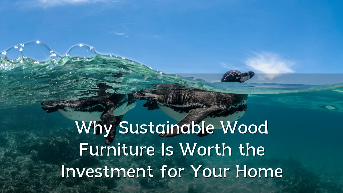 Why Sustainable Wood Furniture Is Worth the Investment for Your Home