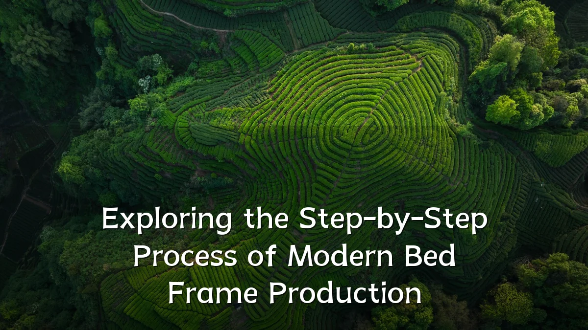 Exploring the Step-by-Step Process of Modern Bed Frame Production