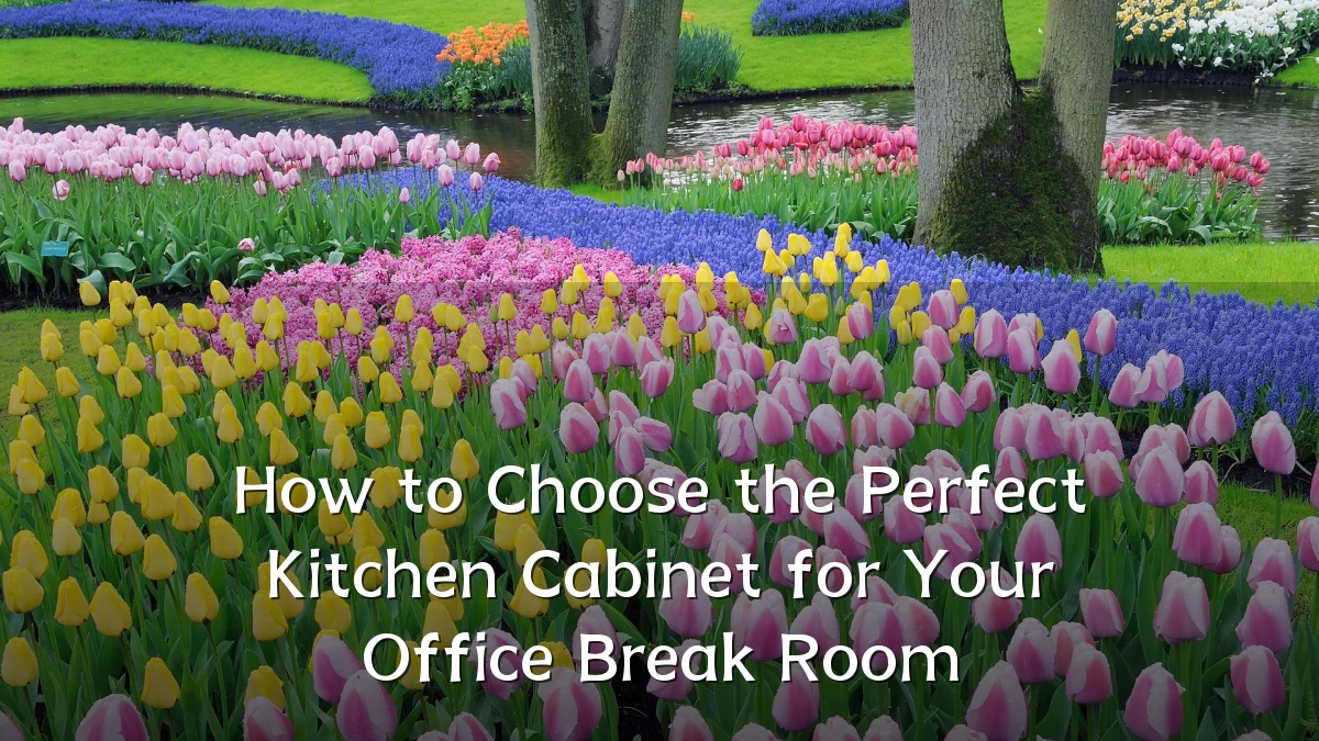 How to Choose the Perfect Kitchen Cabinet for Your Office Break Room