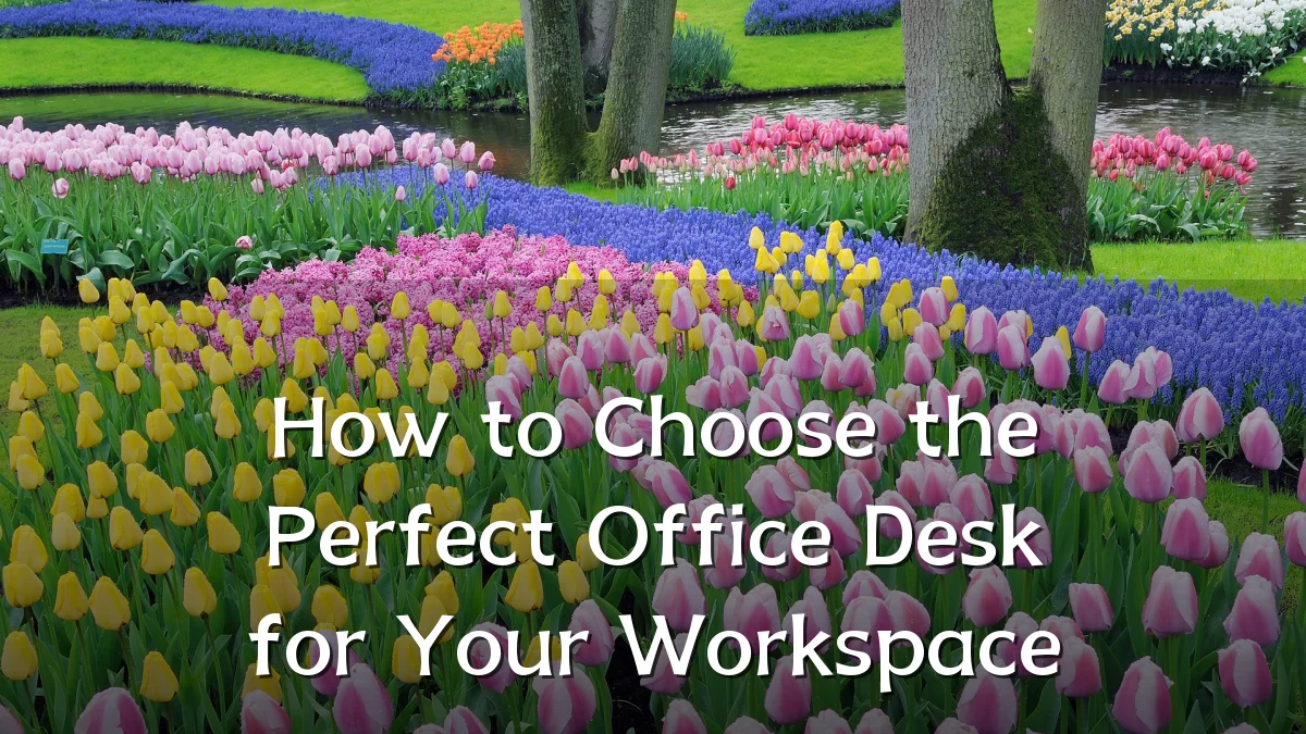 How to Choose the Perfect Office Desk for Your Workspace