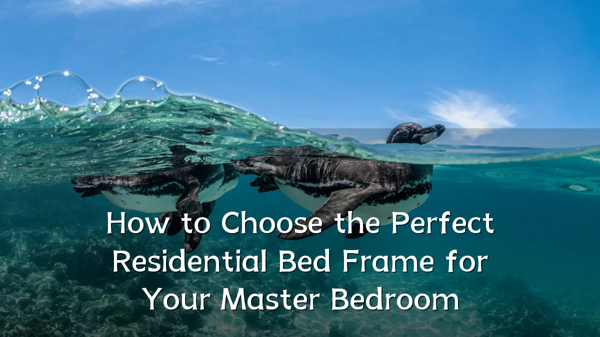 How to Choose the Perfect Residential Bed Frame for Your Master Bedroom
