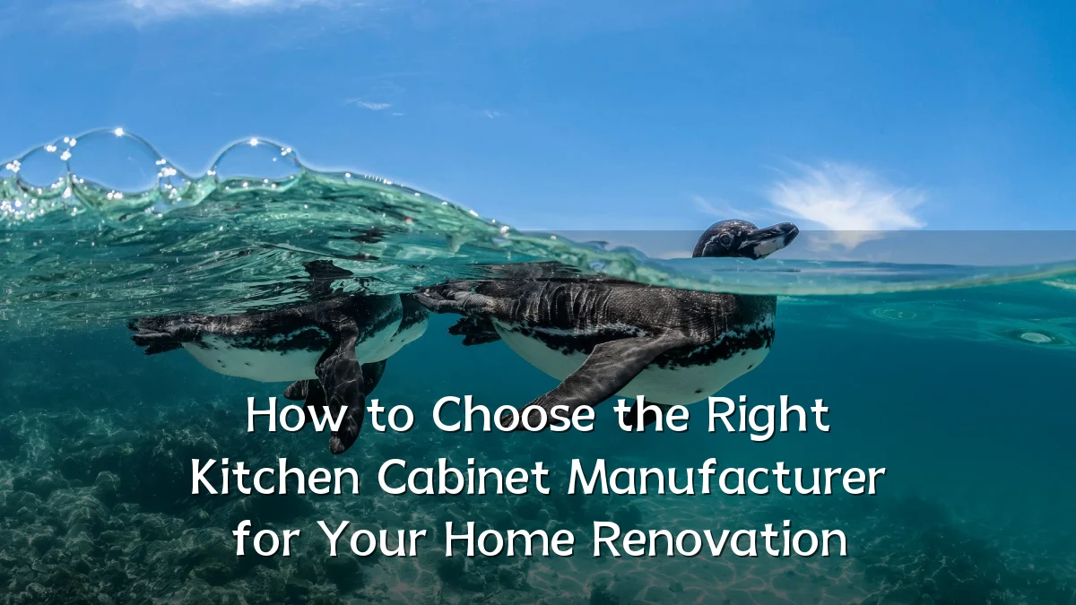 How to Choose the Right Kitchen Cabinet Manufacturer for Your Home Renovation