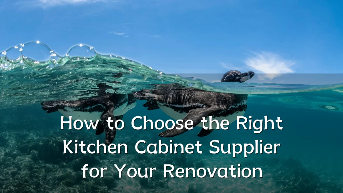 How to Choose the Right Kitchen Cabinet Supplier for Your Renovation