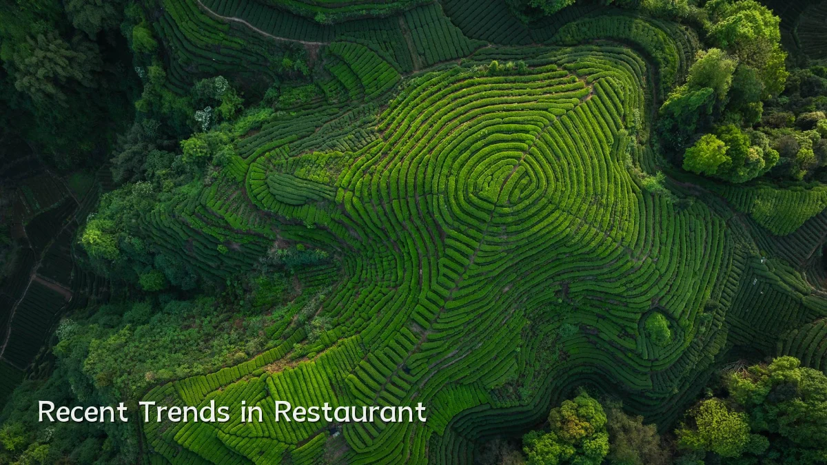 Recent Trends in Restaurant