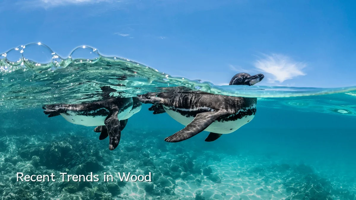 Recent Trends in Wood