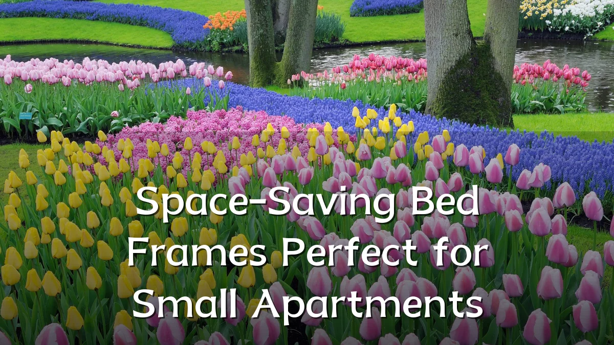Space-Saving Bed Frames Perfect for Small Apartments