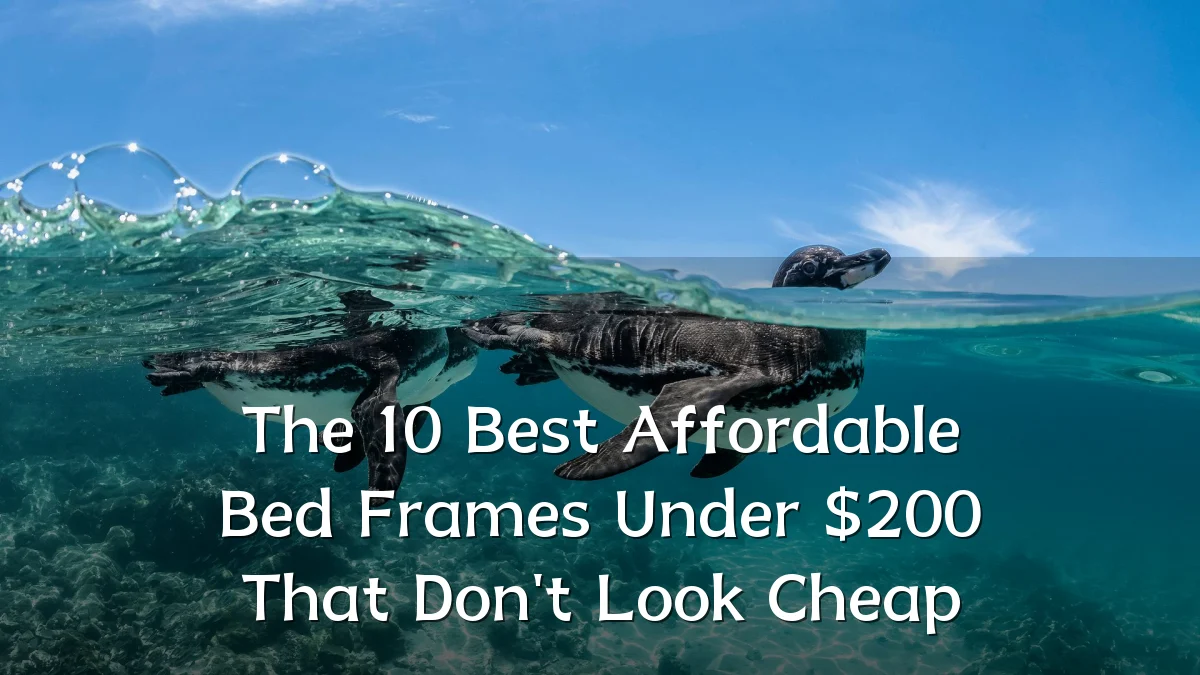 The 10 Best Affordable Bed Frames Under $200 That Don't Look Cheap