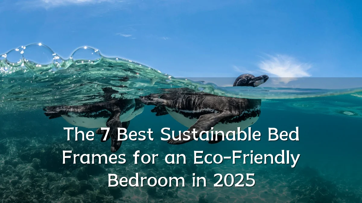 The 7 Best Sustainable Bed Frames for an Eco-Friendly Bedroom in 2025
