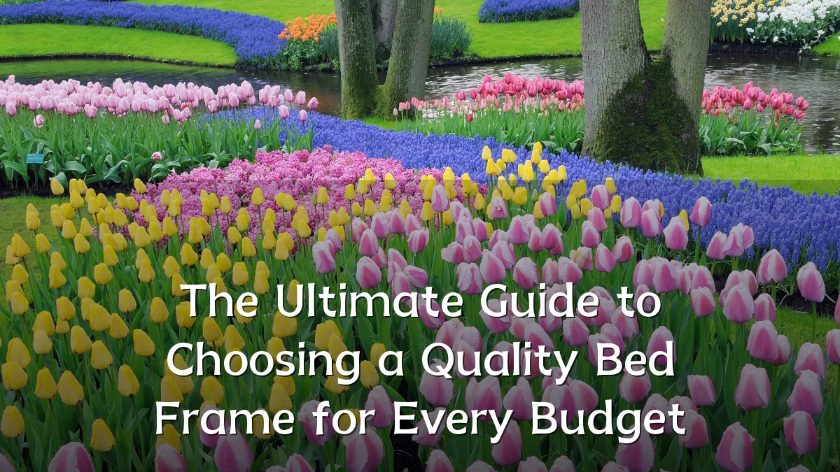 The Ultimate Guide to Choosing a Quality Bed Frame for Every Budget