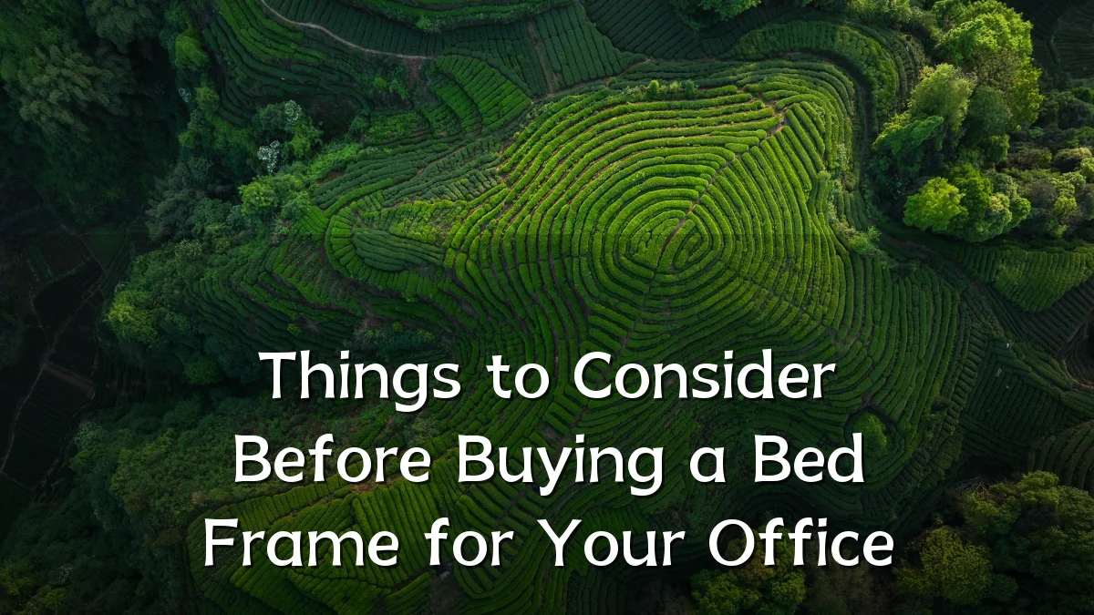 Things to Consider Before Buying a Bed Frame for Your Office