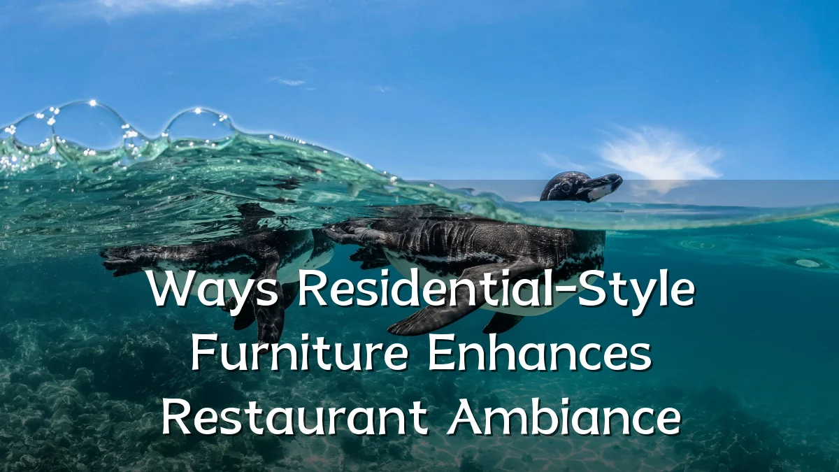 Ways Residential-Style Furniture Enhances Restaurant Ambiance