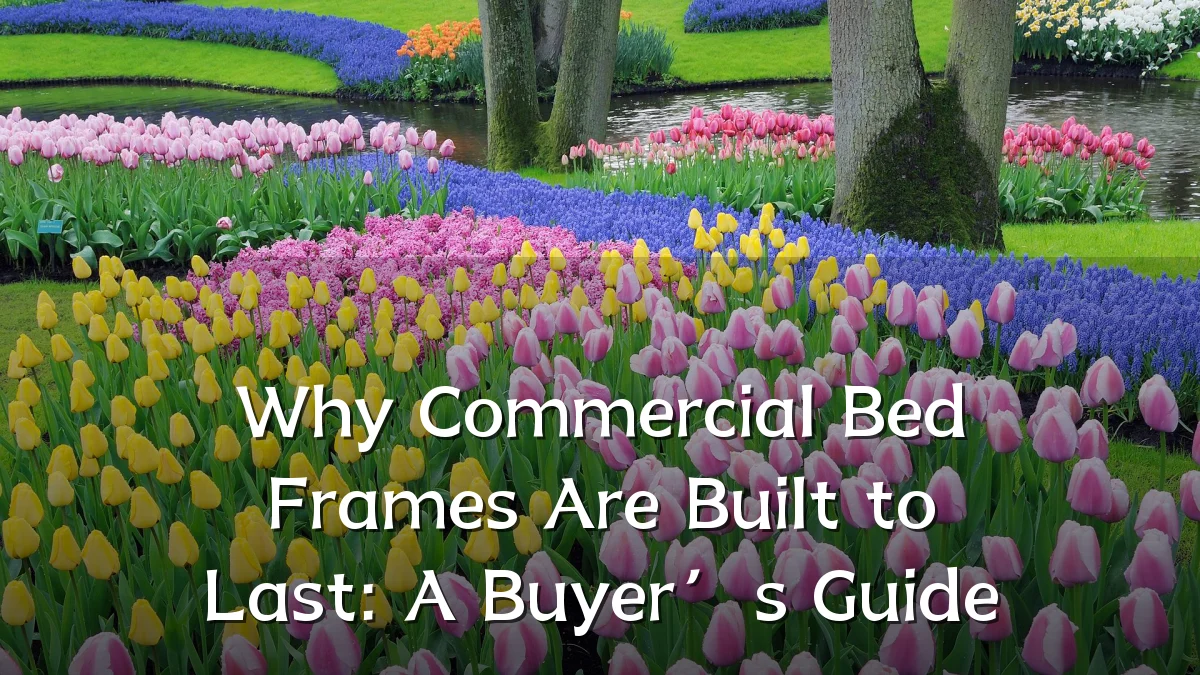 Why Commercial Bed Frames Are Built to Last: A Buyer’s Guide