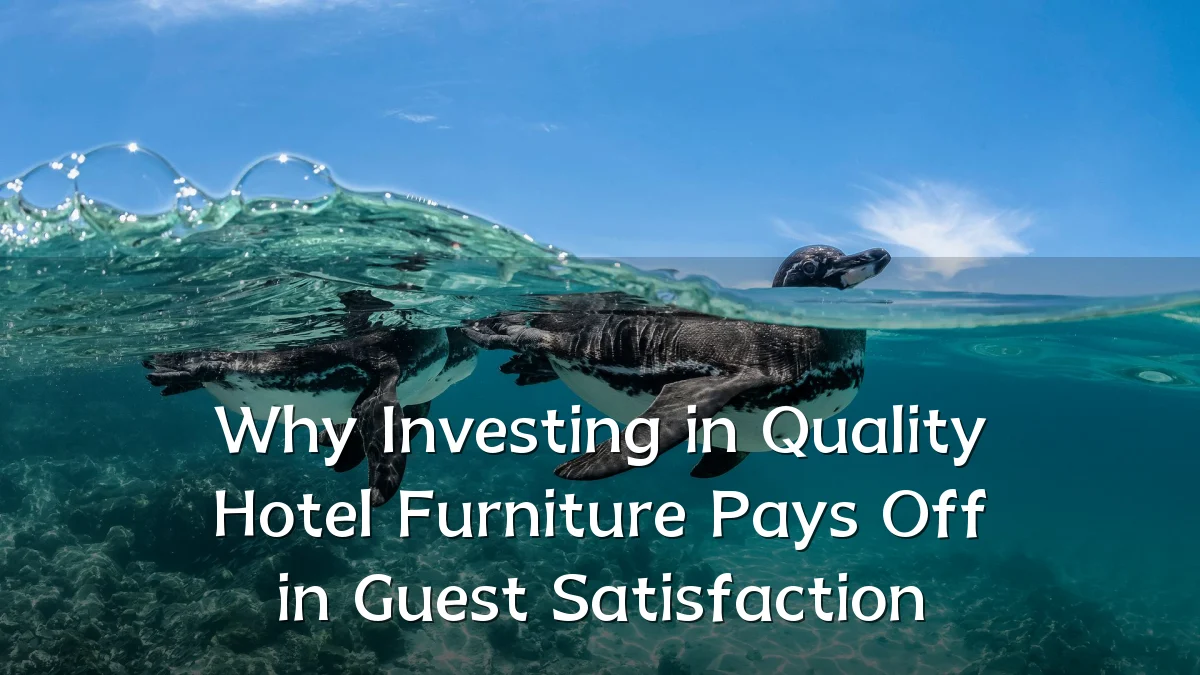 Why Investing in Quality Hotel Furniture Pays Off in Guest Satisfaction