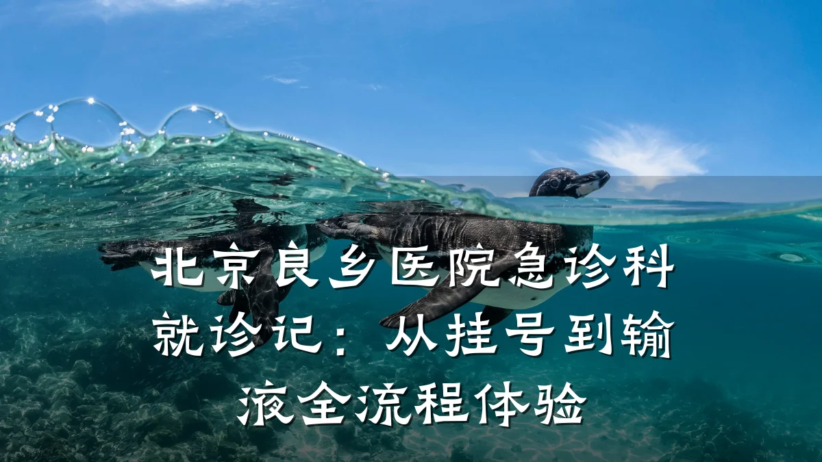 北京良乡医院急诊科就诊记:从挂号到输液全流程体验