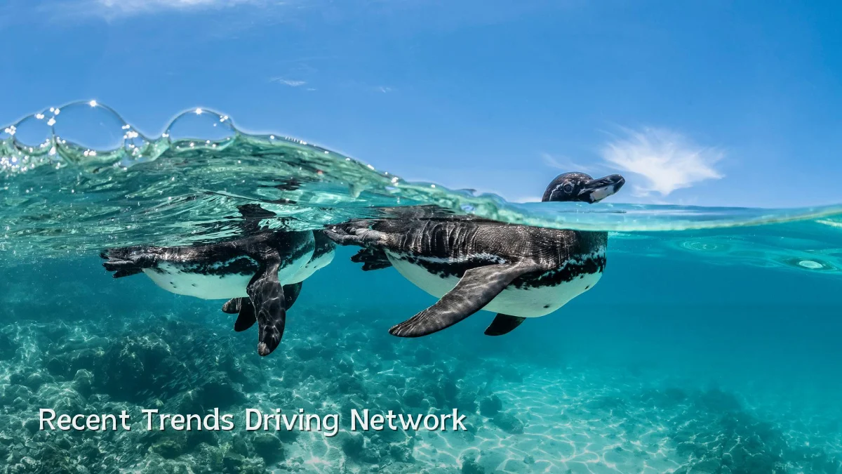 Recent Trends Driving Network