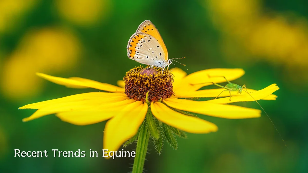 Recent Trends in Equine
