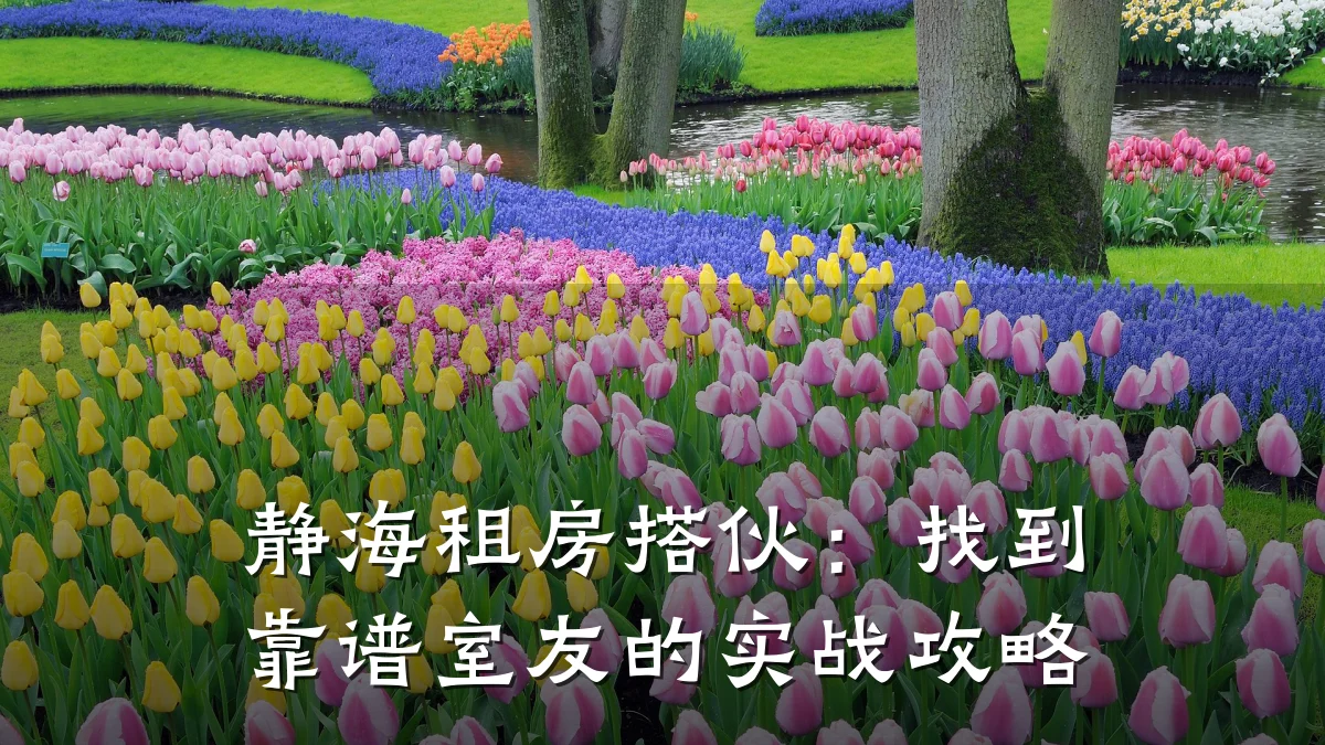 静海租房搭伙：找到靠谱室友的实战攻略