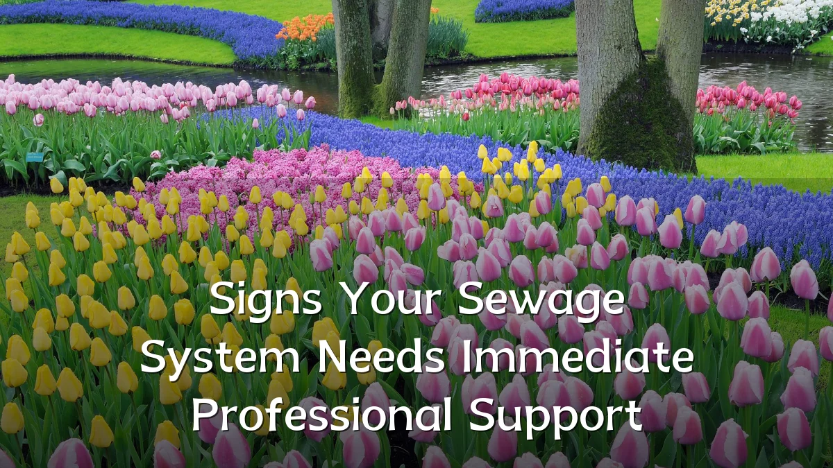 Signs Your Sewage System Needs Immediate Professional Support