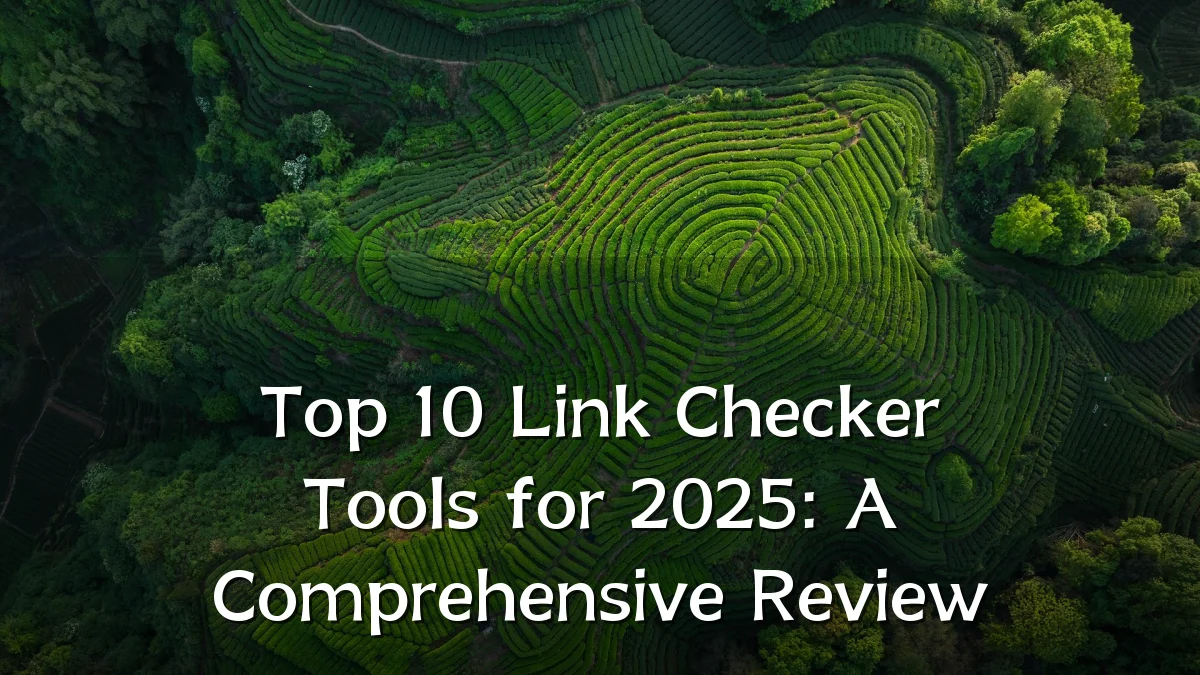 Top 10 Link Checker Tools for 2025: A Comprehensive Review