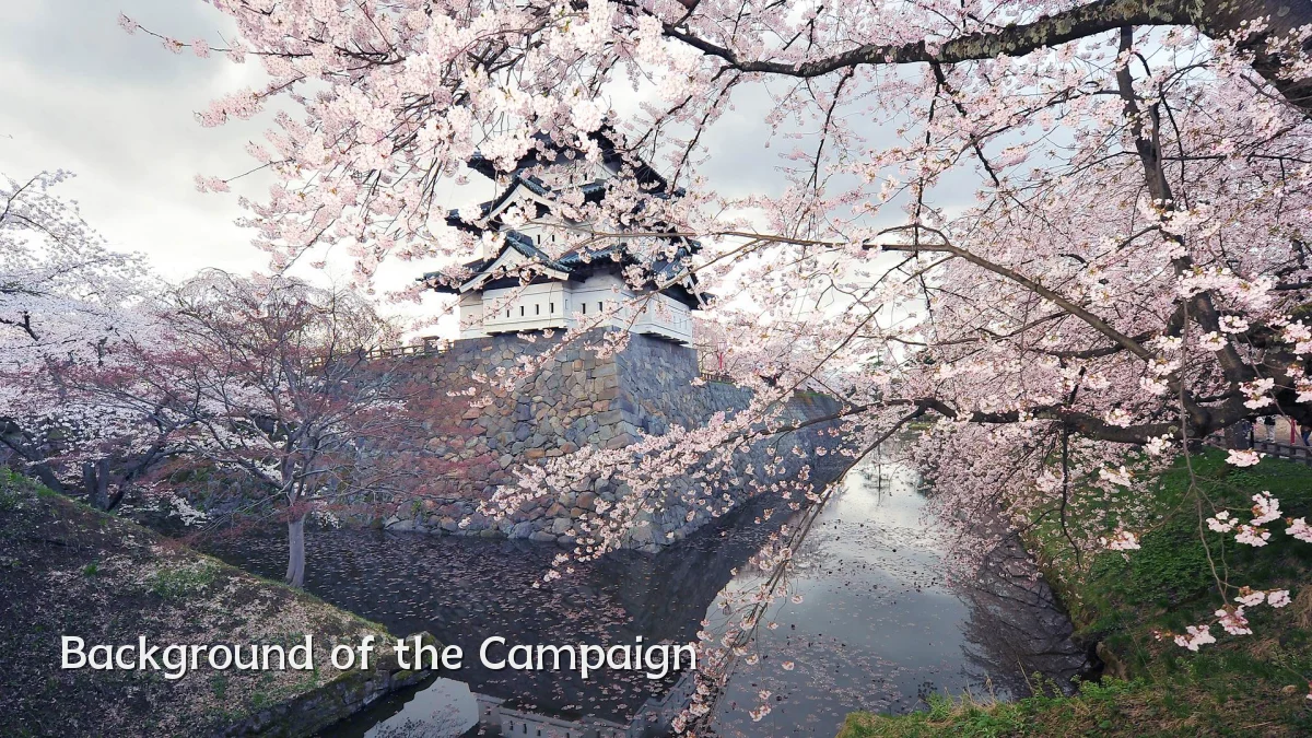 Background of the Campaign