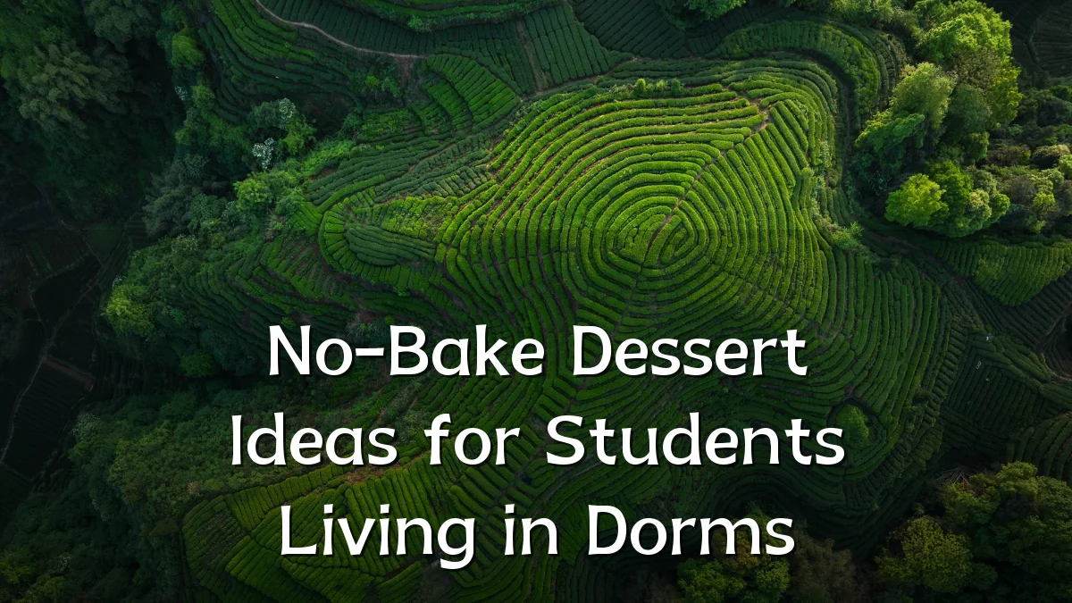 No-Bake Dessert Ideas for Students Living in Dorms