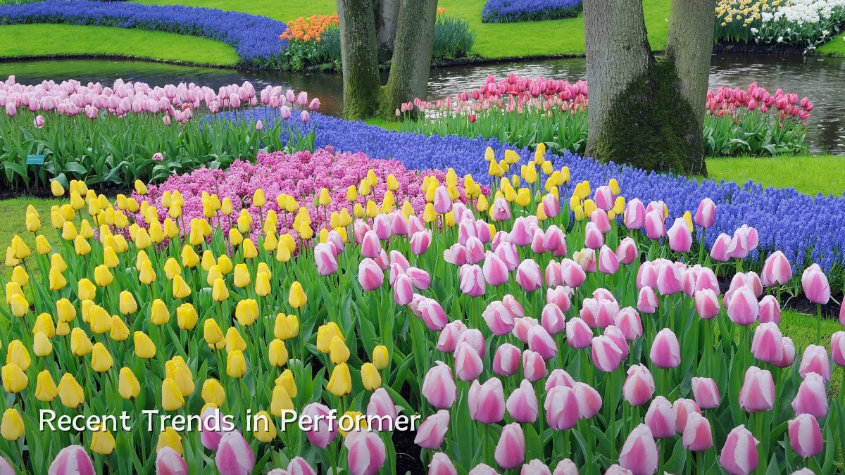 Recent Trends in Performer