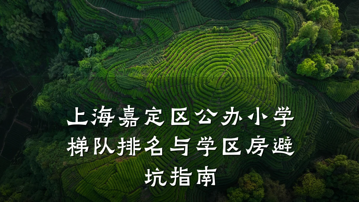 上海嘉定区公办小学梯队排名与学区房避坑指南