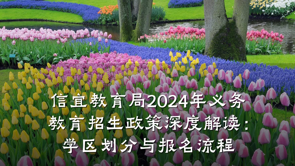 信宜教育局2024年义务教育招生政策深度解读:学区划分与报名流程